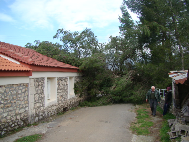 ÎÏÏÎ® Î· ÎµÎ¹ÎºÏÎ½Î± Î´ÎµÎ½ Î­ÏÎµÎ¹ Î¹Î´Î¹ÏÏÎ·ÏÎ± alt. Î¤Î¿ ÏÎ½Î¿Î¼Î± ÏÎ¿Ï Î±ÏÏÎµÎ¯Î¿Ï ÎµÎ¯Î½Î±Î¹ DSC05904.jpg