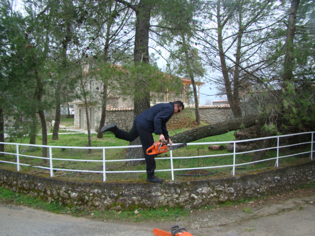 ÎÏÏÎ® Î· ÎµÎ¹ÎºÏÎ½Î± Î´ÎµÎ½ Î­ÏÎµÎ¹ Î¹Î´Î¹ÏÏÎ·ÏÎ± alt. Î¤Î¿ ÏÎ½Î¿Î¼Î± ÏÎ¿Ï Î±ÏÏÎµÎ¯Î¿Ï ÎµÎ¯Î½Î±Î¹ DSC05908.jpg