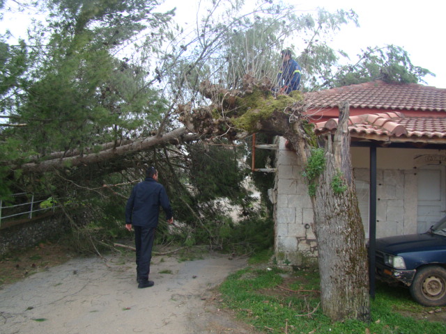 ÎÏÏÎ® Î· ÎµÎ¹ÎºÏÎ½Î± Î´ÎµÎ½ Î­ÏÎµÎ¹ Î¹Î´Î¹ÏÏÎ·ÏÎ± alt. Î¤Î¿ ÏÎ½Î¿Î¼Î± ÏÎ¿Ï Î±ÏÏÎµÎ¯Î¿Ï ÎµÎ¯Î½Î±Î¹ DSC05909.jpg