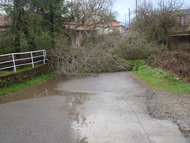 ÎÏÏÎ® Î· ÎµÎ¹ÎºÏÎ½Î± Î´ÎµÎ½ Î­ÏÎµÎ¹ Î¹Î´Î¹ÏÏÎ·ÏÎ± alt. Î¤Î¿ ÏÎ½Î¿Î¼Î± ÏÎ¿Ï Î±ÏÏÎµÎ¯Î¿Ï ÎµÎ¯Î½Î±Î¹ DSC05911.jpg